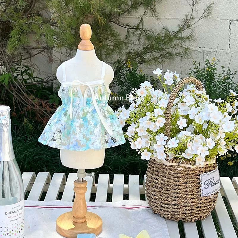 Autumn Bless Floral Lace Picnic Camisole Dress with Ribbon 