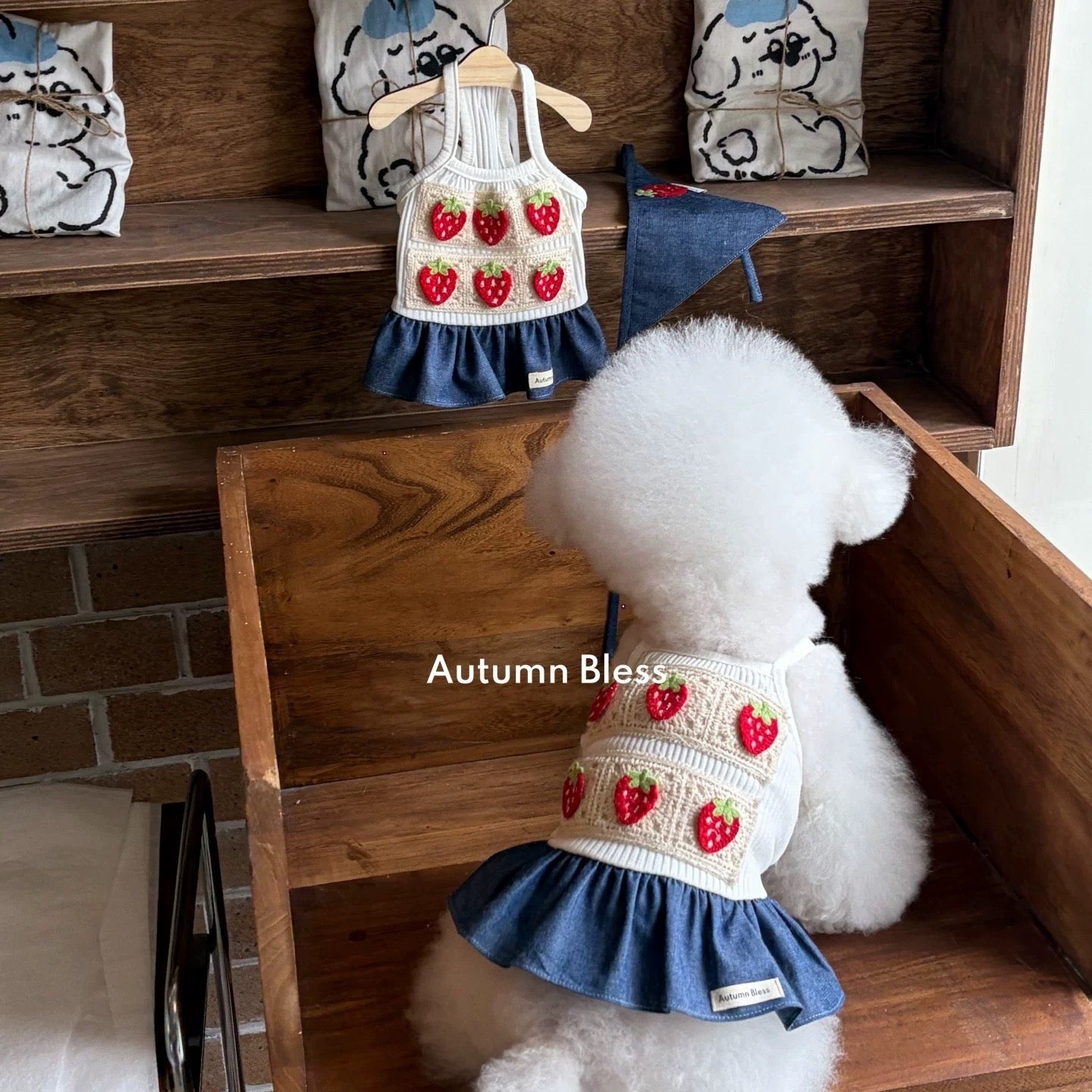 Autumn Bless Strawberry Picnic Dress