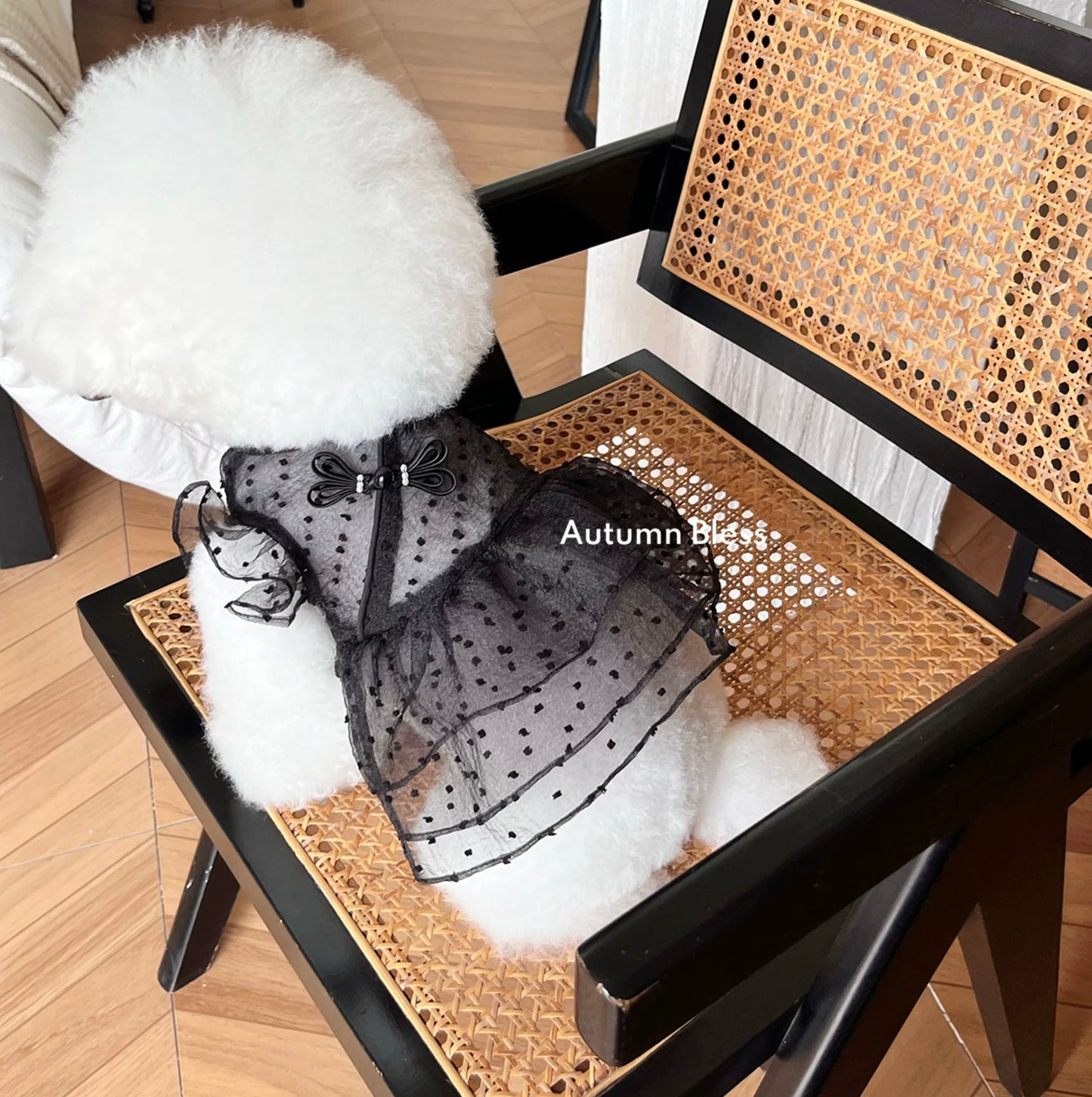 Autumn Bless Dotted Tulle Lace Dress 