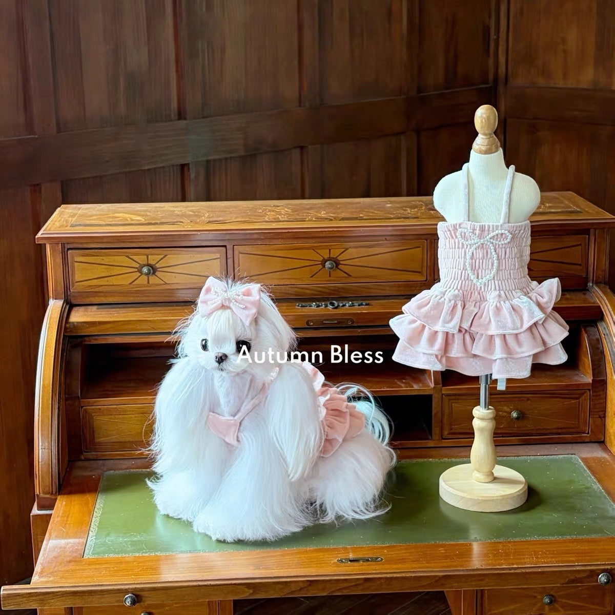Autumn Bless Velour Pearl Ribbon Dress