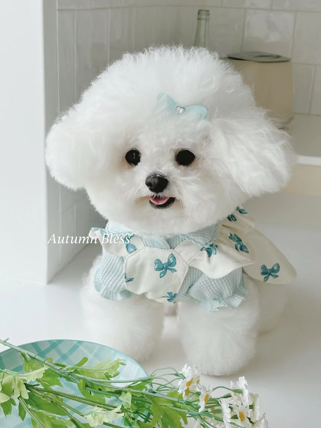 Autumn Bless Floral Ruffle Dress with Harness Attachment for Small Dogs – Cute Button Details