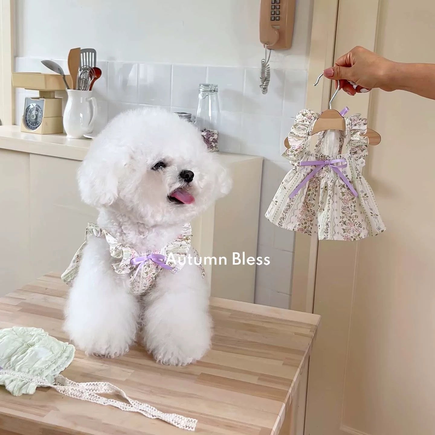 Autumn Bless [Limited Quantity] Country Floral Cotton Dress | Vintage Garden Floral Cotton Dress