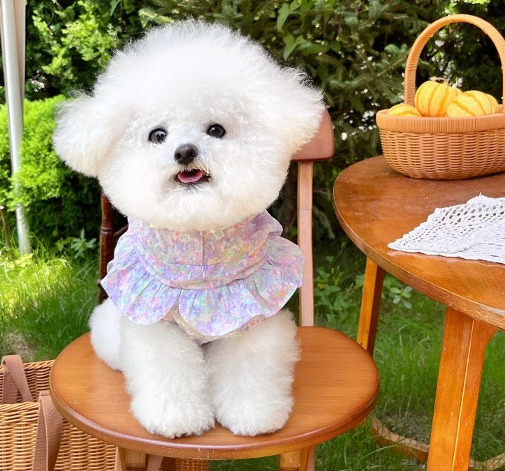 Autumn Bless Pastel Garden Windproof, Waterproof, and UV Coat | PetalShield Waterproof Floral Coat 