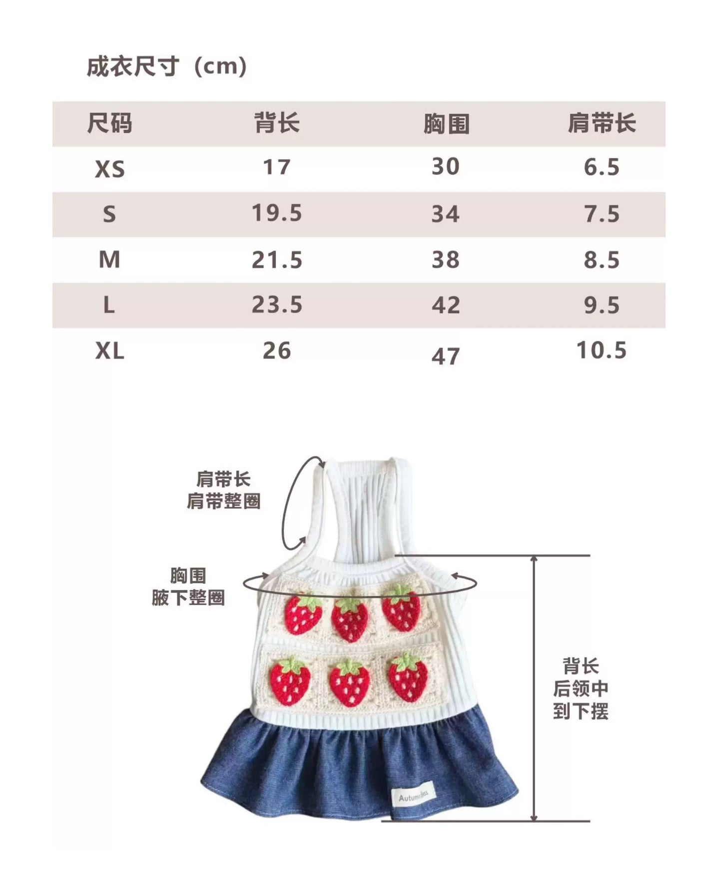 Autumn Bless Strawberry Picnic Dress
