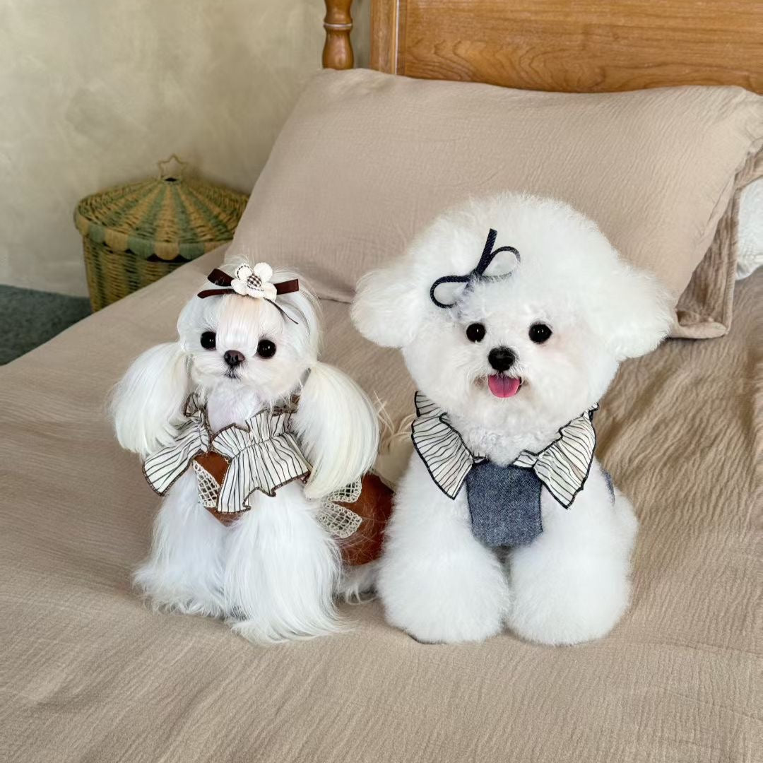 Autumn Bless Embroidered Lace &amp; Denim Flutter Sleeve Dress with Ribbon Hair Clip – Early Autumn Collection