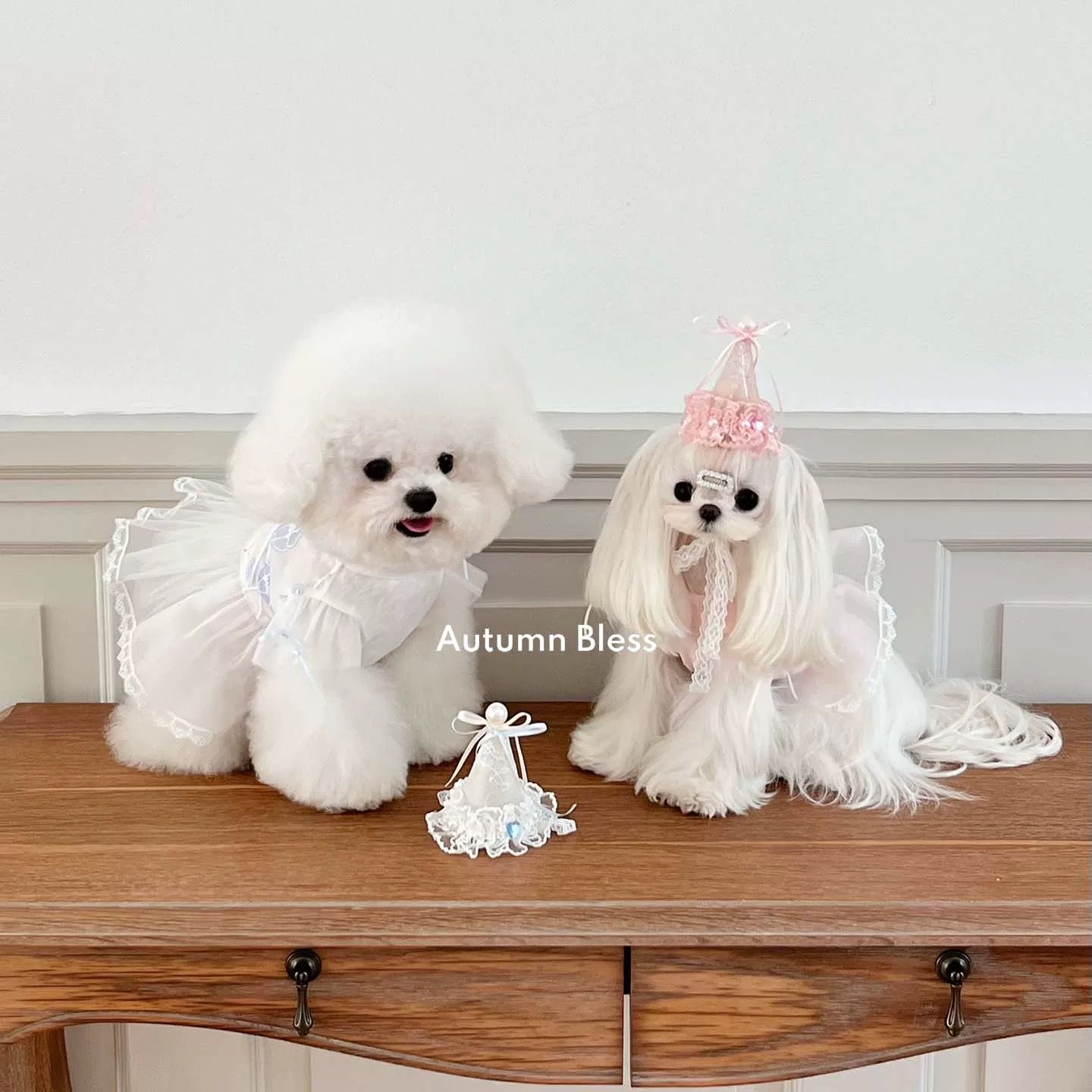 Autumn Bless Birthday Party Princess Dress | Birthday Party Princess Dress 