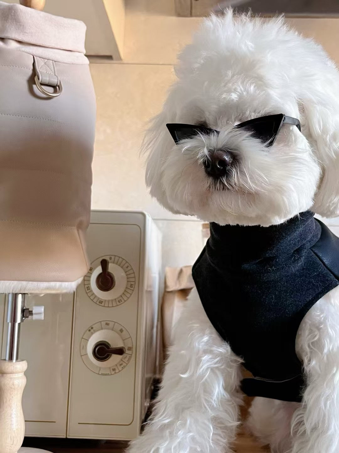 Autumn Bless PU Leather Warm Pet Vest | PU Leather Warm Pet Vest