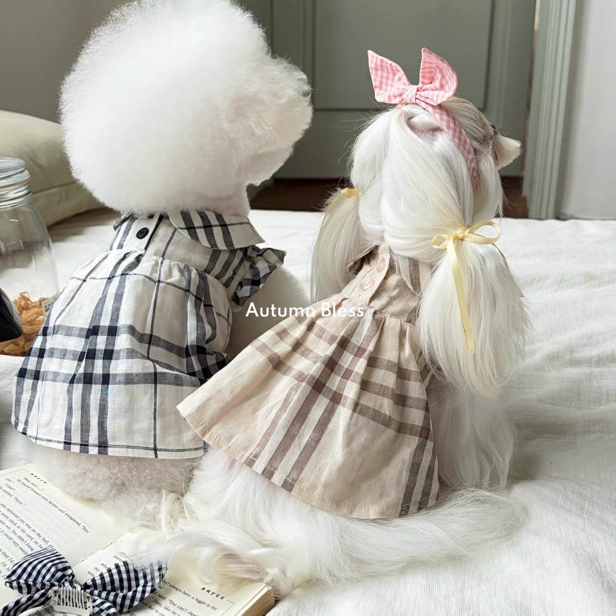 Autumn Bless English Heritage Peter Pan Collar Dress