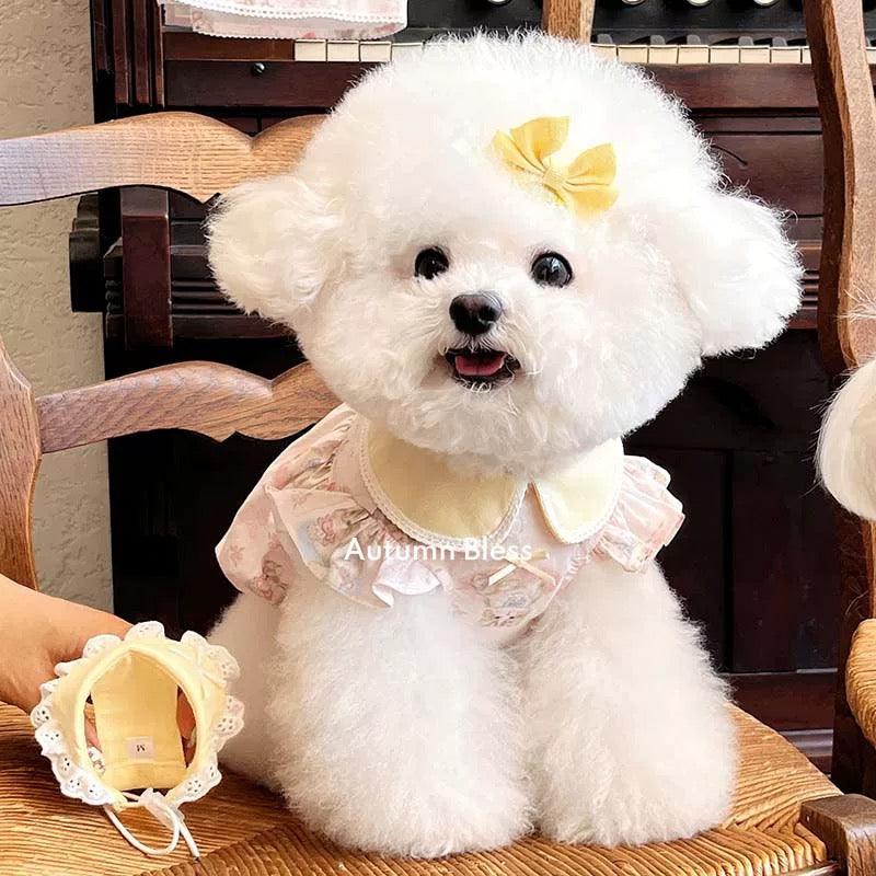 Autumn Bless Alice Garden Round Collar Pumpkin Dress | Alice Garden Peter Pan Collar Pumpkin Dress 