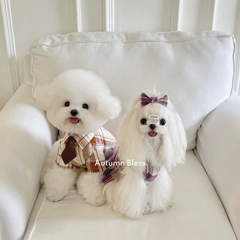 Autumn Bless Stylish cotton check shirt with tie | Cotton Check Shirt with Tie