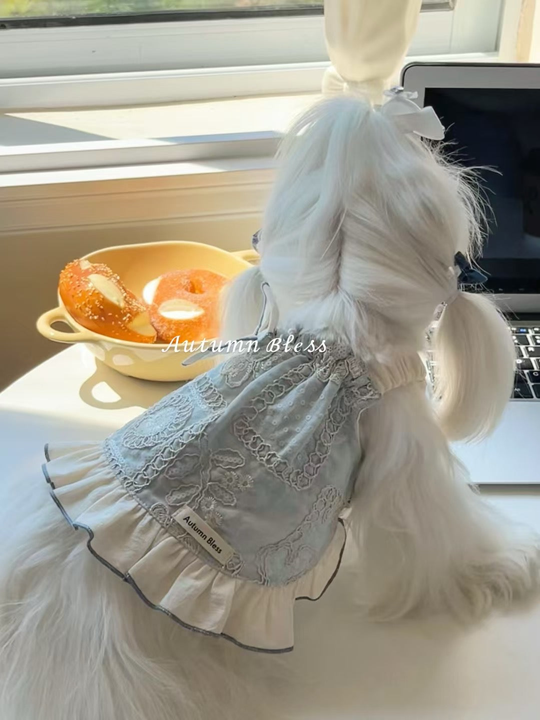 Autumn Bless Bohemian Lace Charm Dress | Bohemian Lace Charm Dress 