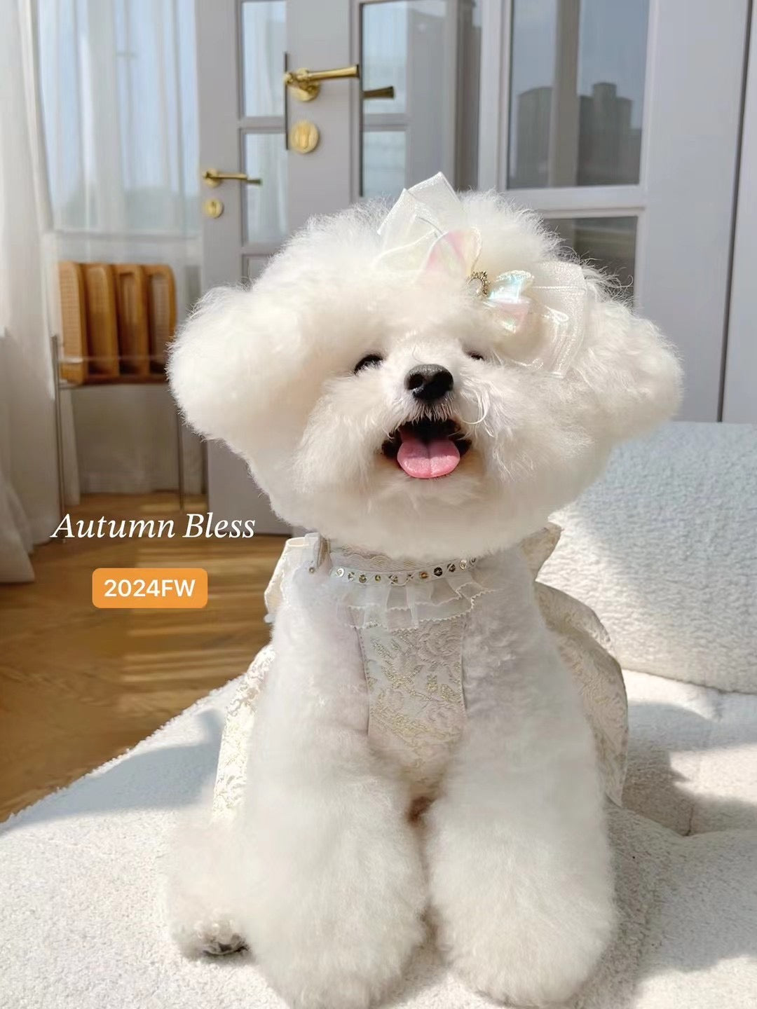 Autumn Bless Elegant Bow Harness Set for Small Dogs – Deluxe Floral Design with Ribbon 