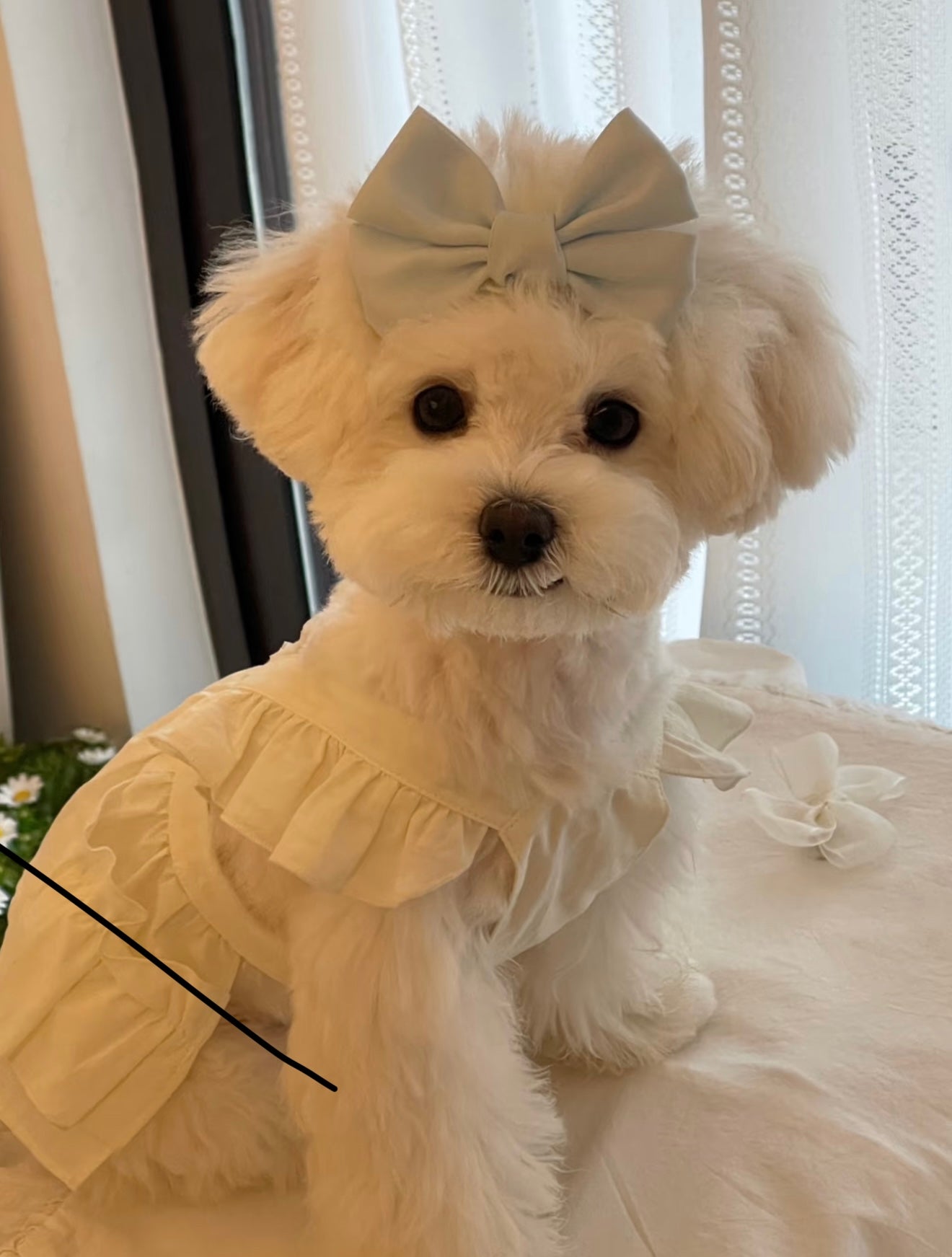 Autumn Bless Cotton Blouse with Puff Sleeves 