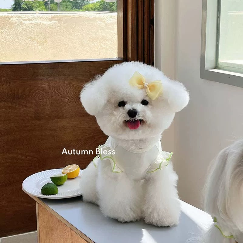 Autumn Bless Tencel Ribbon Embroidered Frill T-shirt with Ribbon 