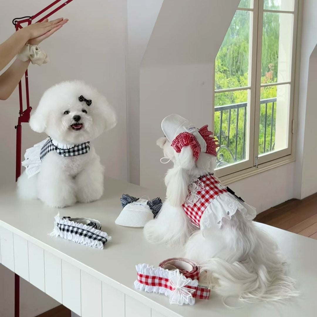 Autumn Bless Checkered Ribbon Cap &amp; Lace Leash