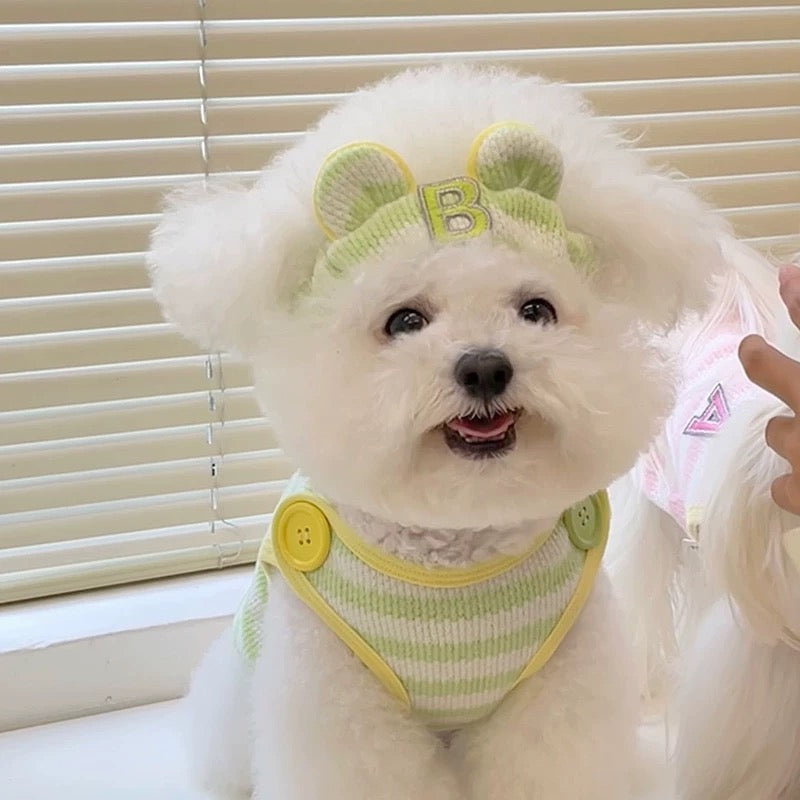 Autumn Bless Candy Button Knit Vest 