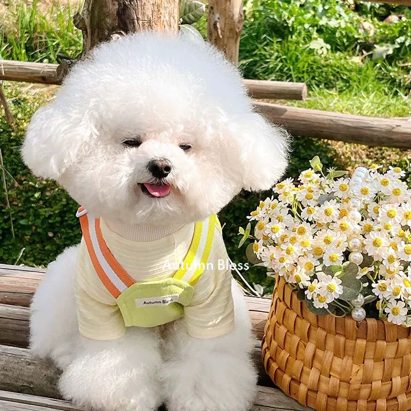 Autumn Bless Rainbow Twill Harness with Fringed Hem 