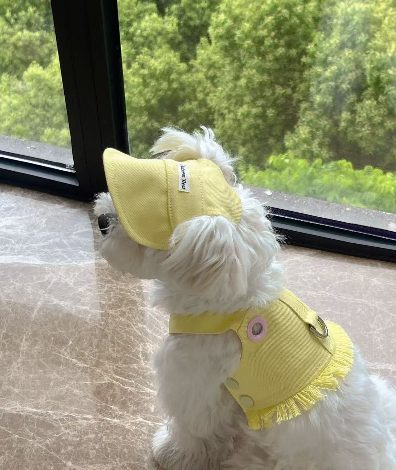 Autumn Bless Candy Color Denim Harness Vest 