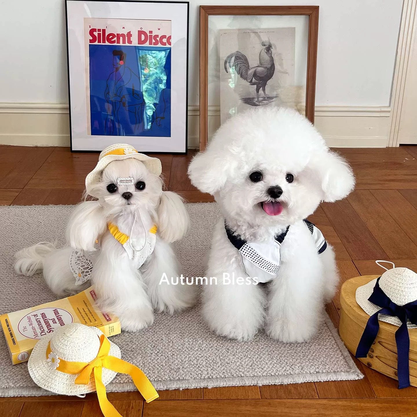 Autumn Bless Lemon Daisy &amp; Marine Picnic Dress