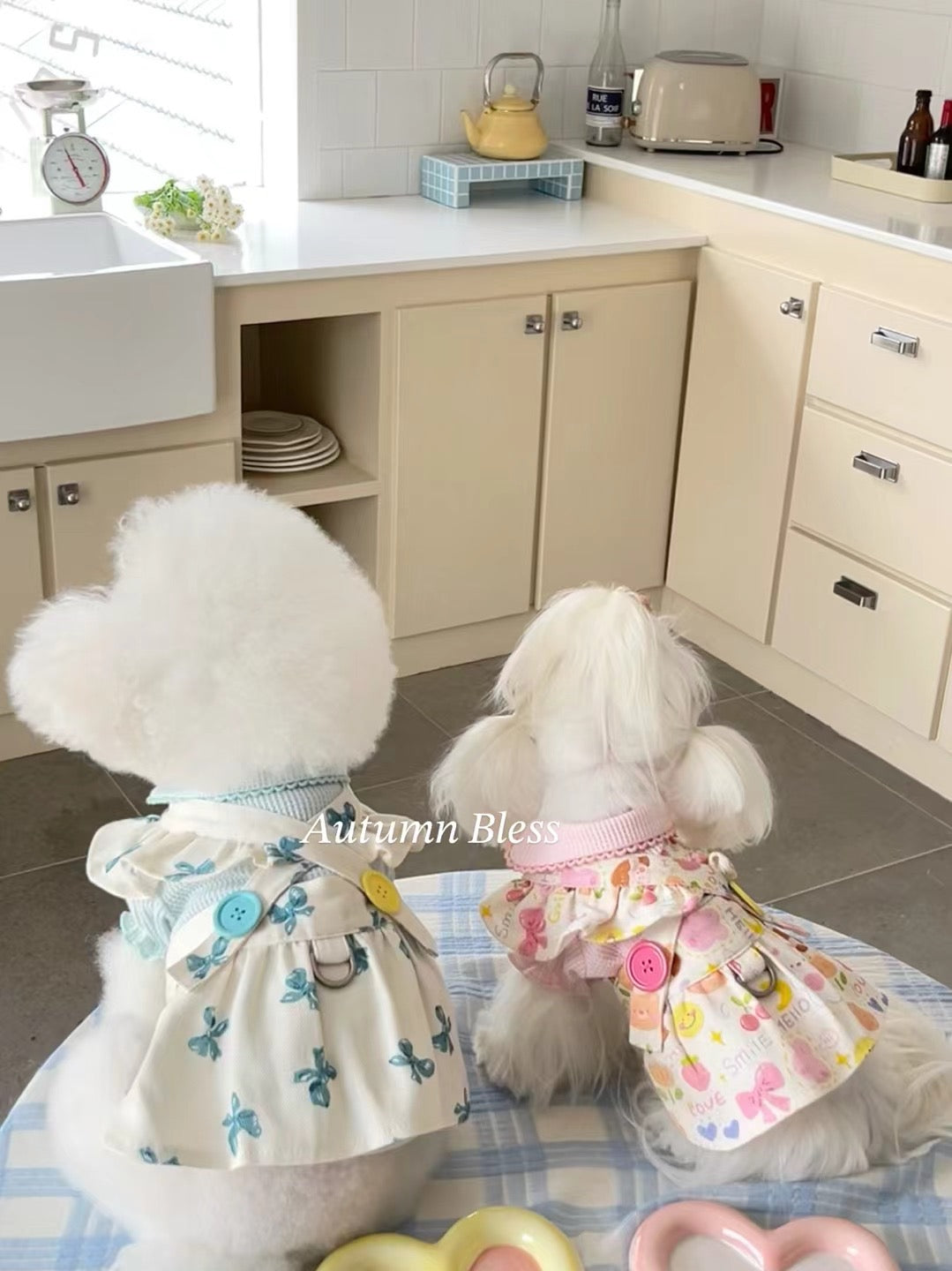 Autumn Bless Floral Ruffle Dress with Harness Attachment for Small Dogs – Cute Button Details