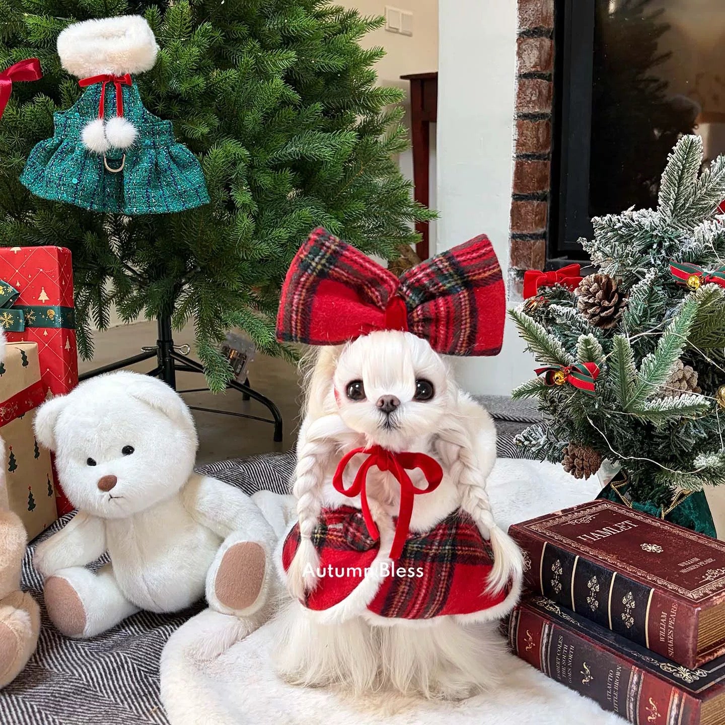 Autumn Bless MerryBerry Christmas Cape Set | MerryBerry Christmas Cape Set 