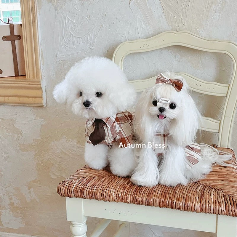 Autumn Bless Ribbon Present♪ Cotton Check Skirt | Cotton Check Skirt with Ribbon 