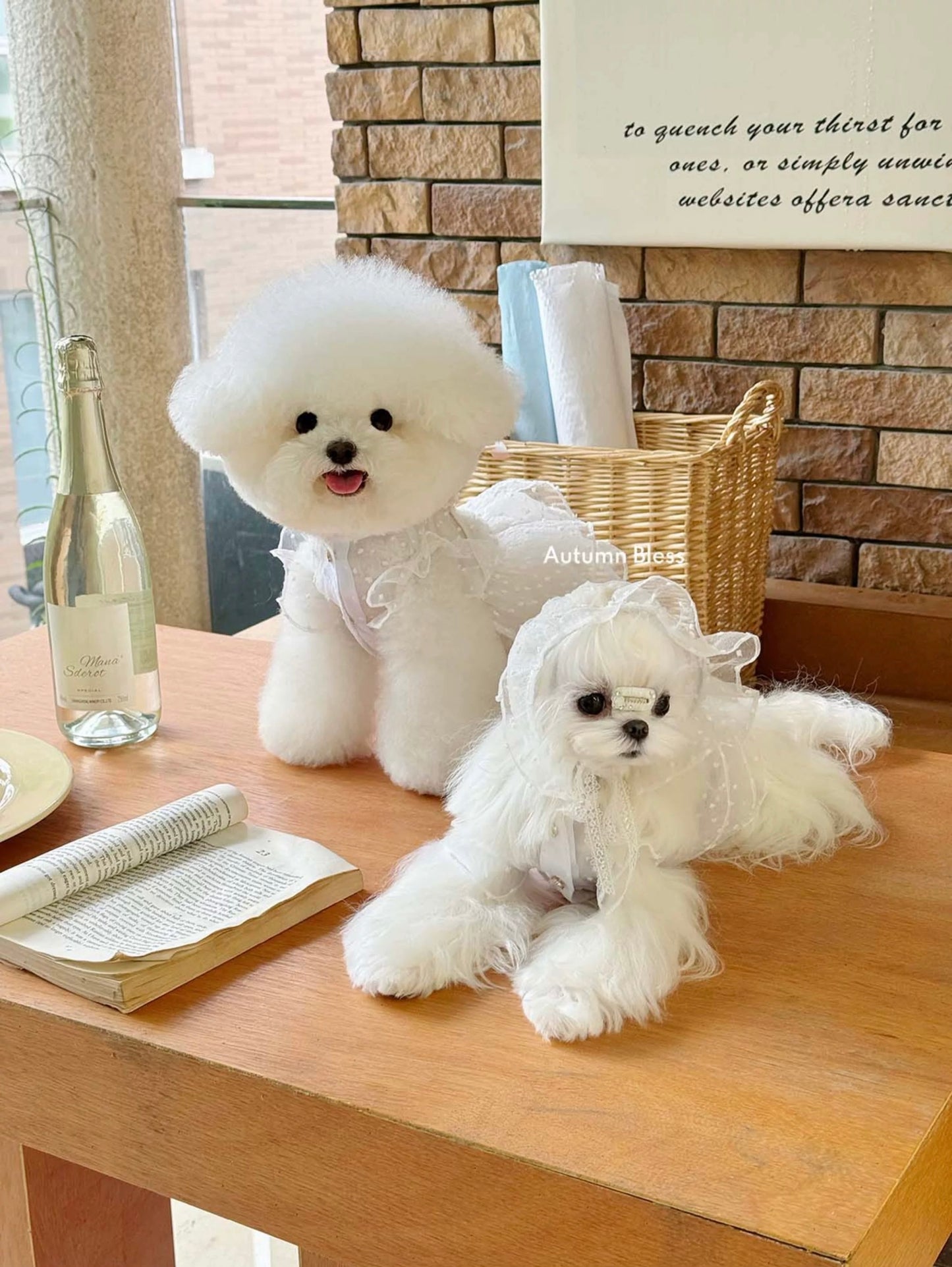 Autumn Bless Dotted Tulle Lace Dress 