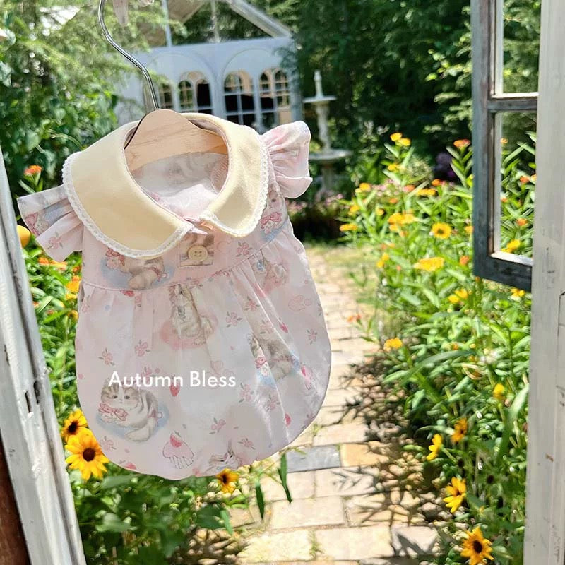 Autumn Bless Alice Garden Round Collar Pumpkin Dress | Alice Garden Peter Pan Collar Pumpkin Dress 