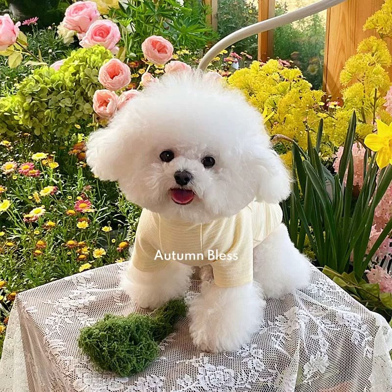 Autumn Bless Breezy Striped Knit Tee (Cap Sold Separately) 