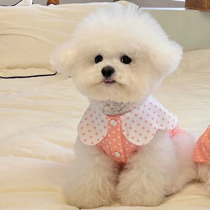 Autumn Bless Cotton Polka Dot Ruffle Blouse with Matching Hair Clip 