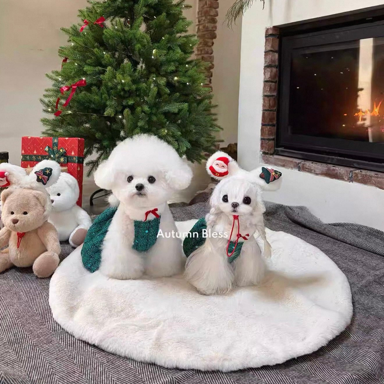 Autumn Bless Merry Berry Christmas Ensemble | MerryBerry Christmas Ensemble 