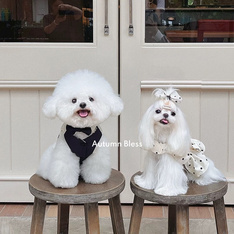 Autumn Bless Satin Glossy Dress and Vest Couple Set 