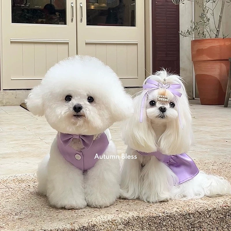 Autumn Bless Satin Glossy Dress and Vest Couple Set 