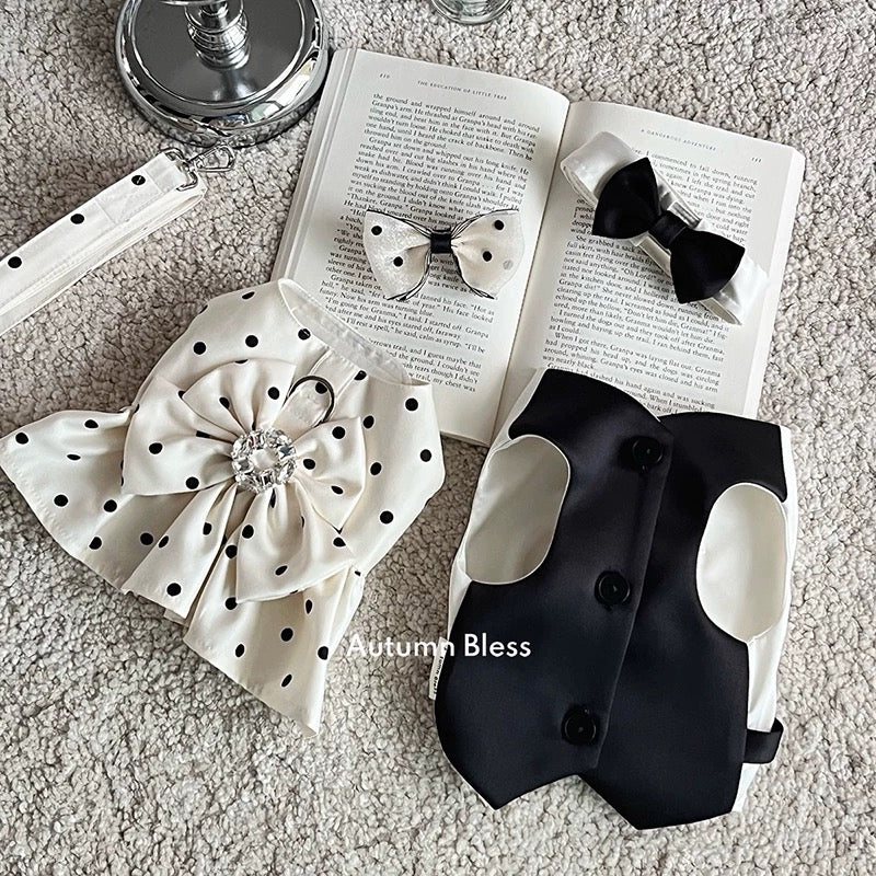 Autumn Bless Satin Glossy Dress and Vest Couple Set 