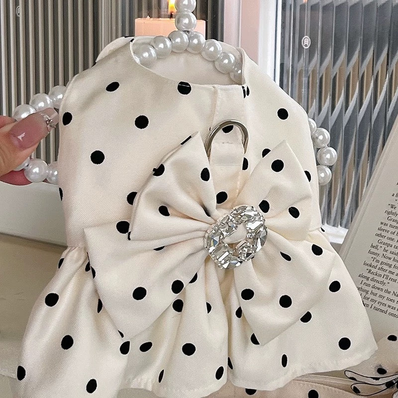 Autumn Bless Satin Glossy Dress and Vest Couple Set 