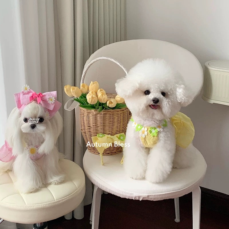 Autumn Bless Daisy Breeze Ruffle Dress 