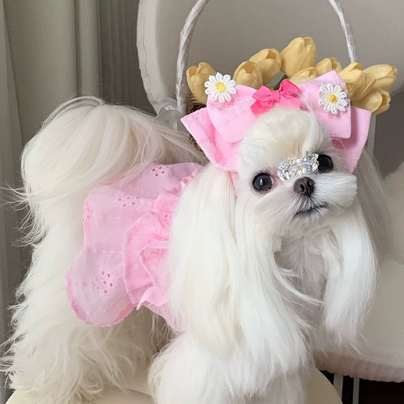 Autumn Bless Daisy Breeze Ruffle Dress 