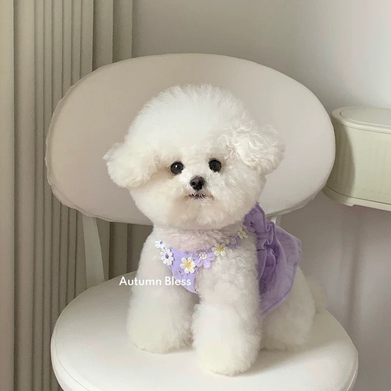 Autumn Bless Daisy Breeze Ruffle Dress 