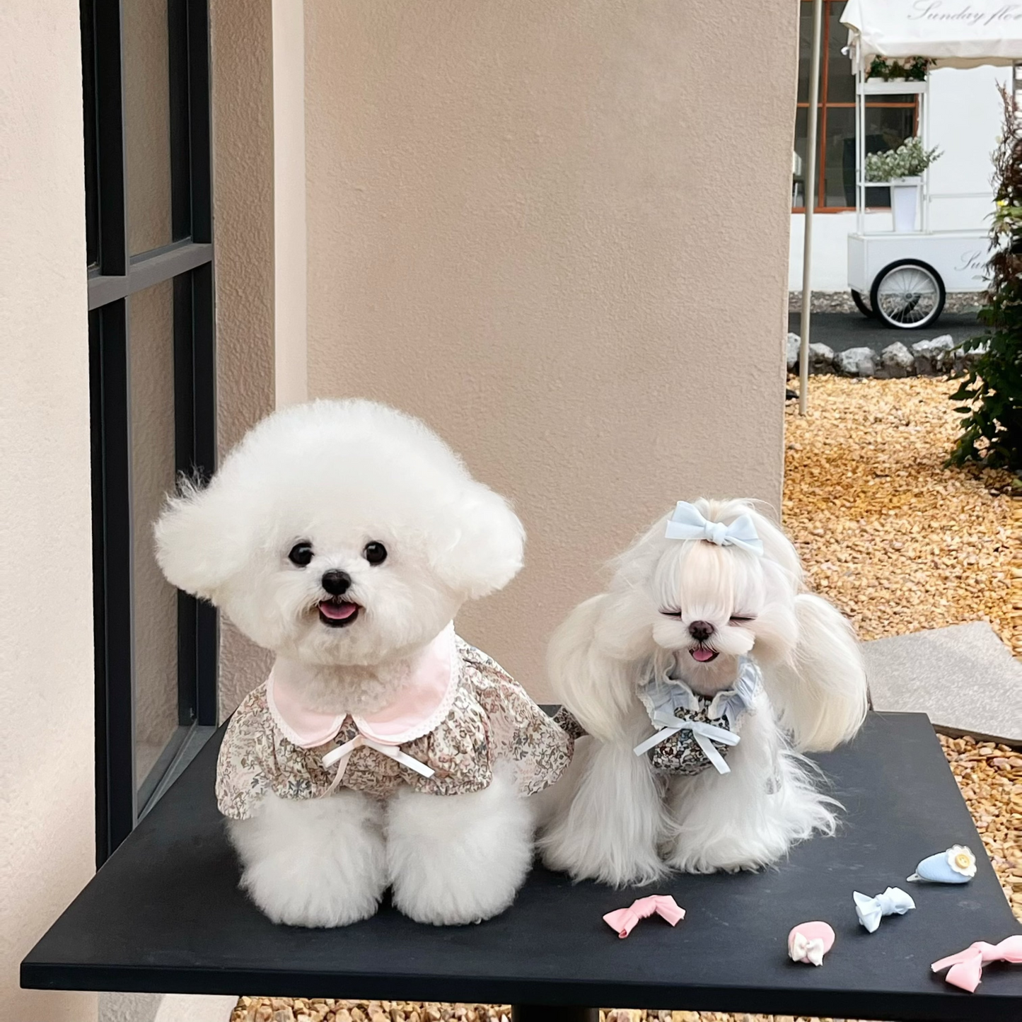 Autumn Bless Floral Dress &amp; Hair Accessory Set | Floral Dress &amp; Hair Accessory Set 