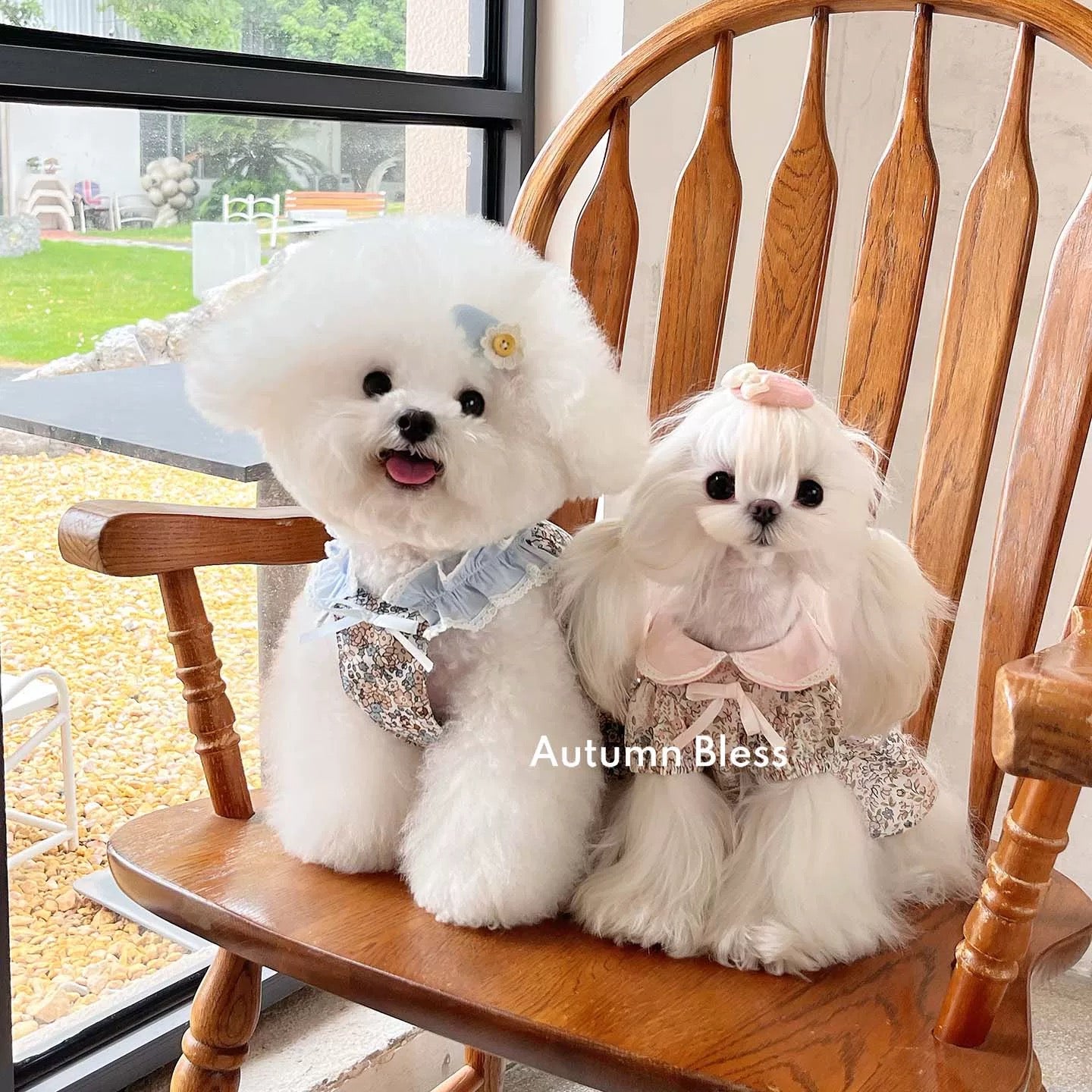 Autumn Bless Floral Dress &amp; Hair Accessory Set | Floral Dress &amp; Hair Accessory Set 