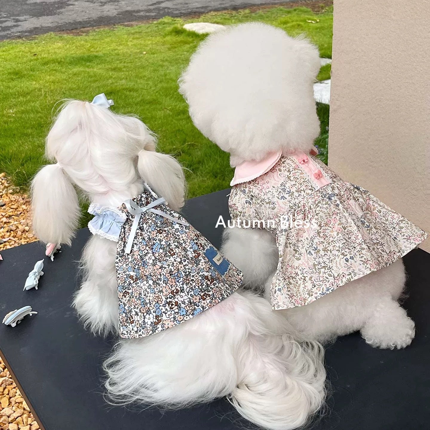 Autumn Bless Floral Dress &amp; Hair Accessory Set | Floral Dress &amp; Hair Accessory Set 