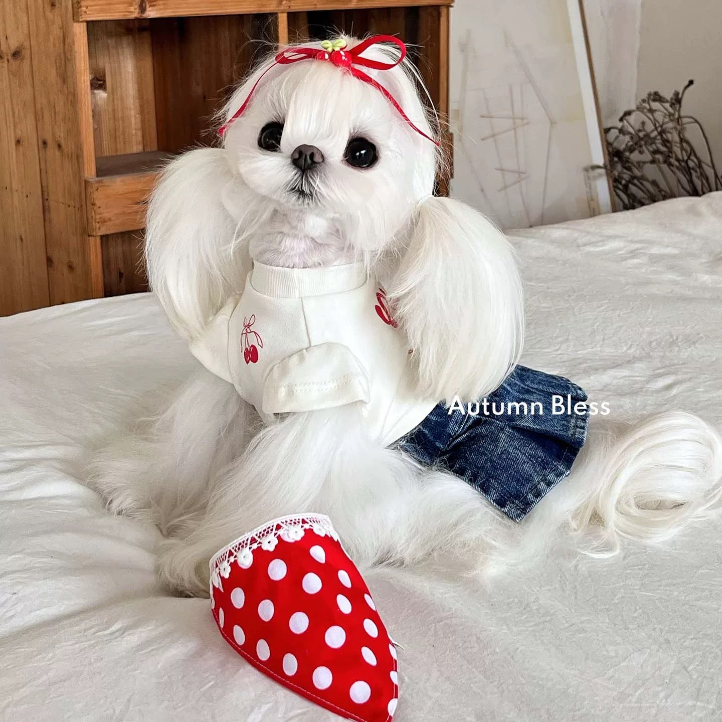 Autumn Bless Cherry Matching T-Shirt &amp; Denim Suspender Skirt (with Hair Clip or Bandana) | Cherry Matching T-Shirt &amp; Denim Suspender Skirt (Family Matching Outfit) 