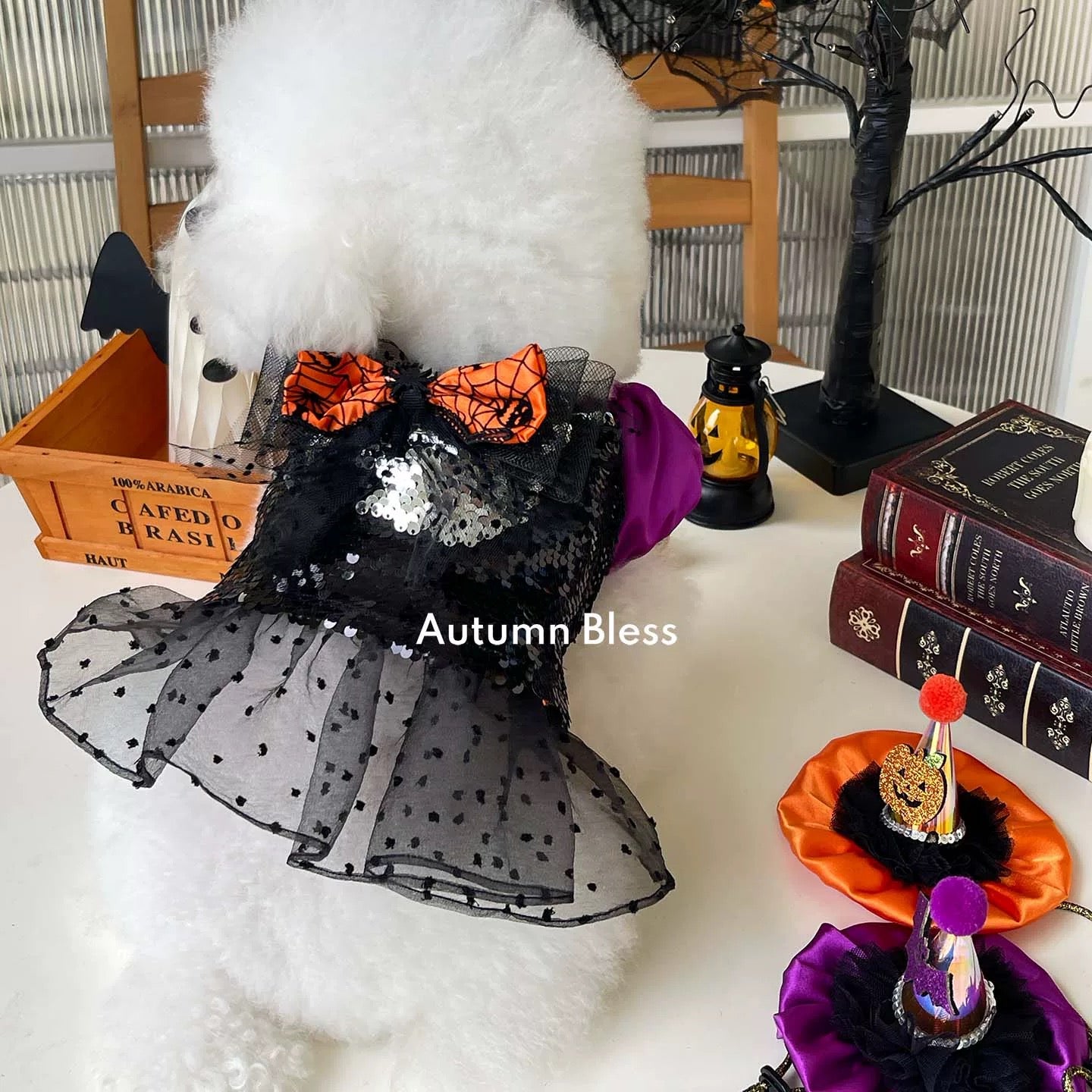 Autumn Bless Halloween Sparkle Witch Dress &amp; Hat Set | 