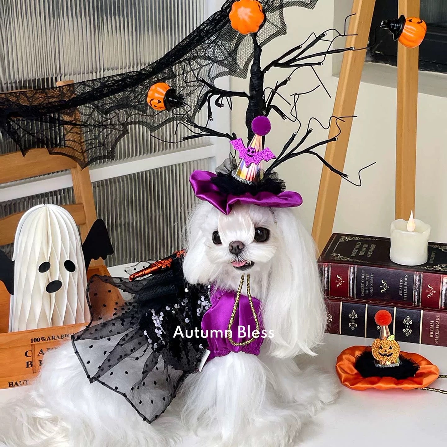 Autumn Bless Halloween Sparkle Witch Dress &amp; Hat Set | 